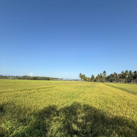 Panorama Wisata 